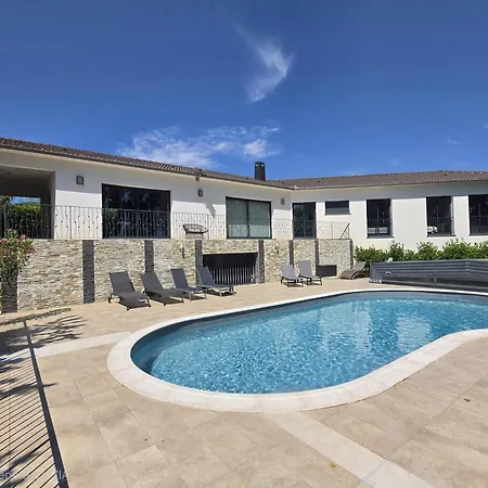 Grande Contemporaine Avec Piscine * Castellare-di-Casinca